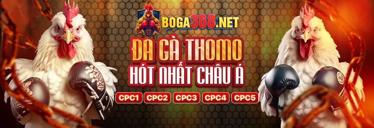 Hình ảnh đối tác tuyển dụng 32vin